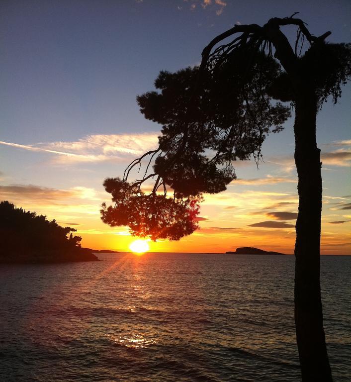 Epidaurum Apartments Cavtat Zimmer foto